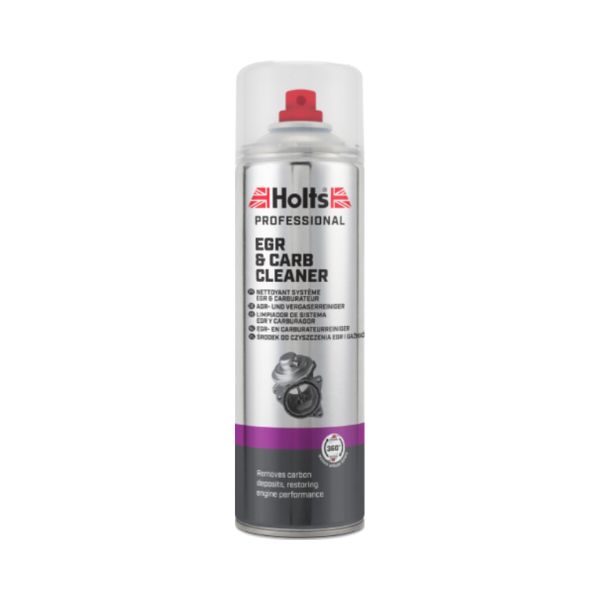 HOLTS EGR & CARB CLEANER
